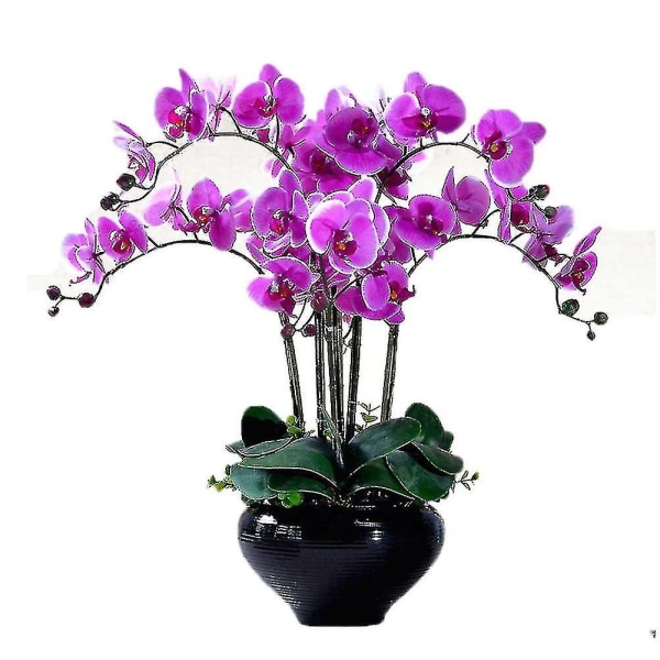 200 st Phalaenopsis orkidéfrön Blandade 22 typer Balkong Trädgård Krukväxter Bonsaiväxter Blomfrön BY