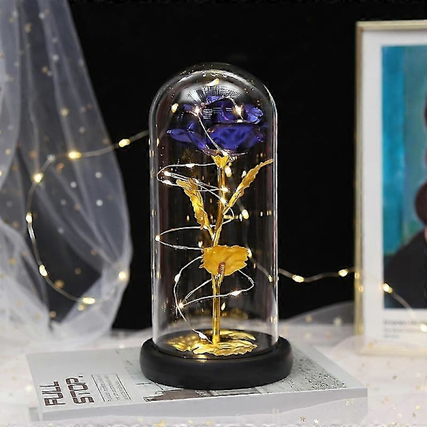 Evige roser Beauty And Animal Rose-sett i glasskuppel med LED-lys, kunstige blomster, rosegaver til kvinner, morsgave