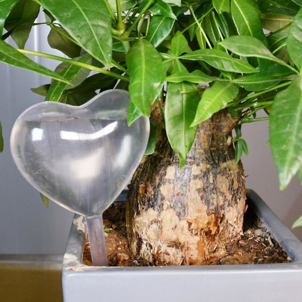 Automatisk Dryp-Vandingssystem Automatisk Vandingspids Planter Blomst Indendørs Husholdningsvandere S Transparent