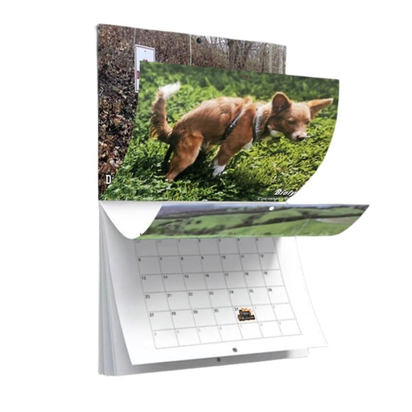 Hundeprutter-Vægkalender Sjov 2024 Pooches Med Smuk Kalender Til 2024 Familie Planner([HK])