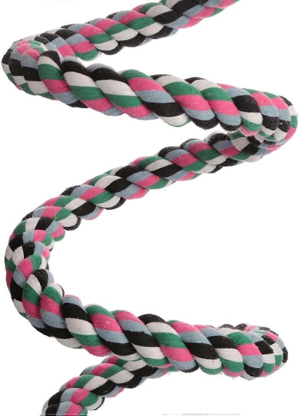 Fågel Spiral Rep Pinne, Bomulls Papegoja Gunga Klätter Stå Leksaker med Klocka (Stor - 200CM)