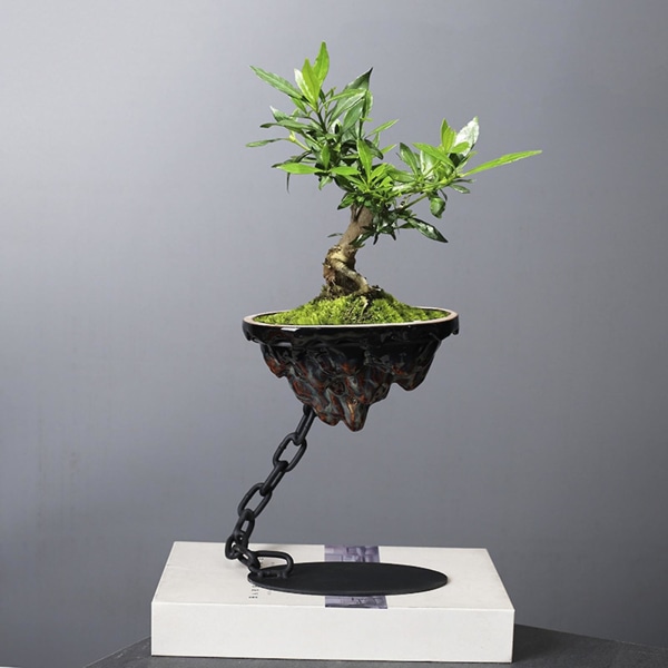 Hängande Sukkulentkruka i Keramik med Stenliknande Design för Bonsai och Växter Circle