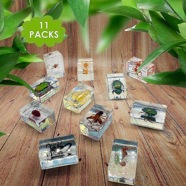 11 st Resin Insektsprover, Insektsamling Pappersvikt, Resin Riktiga Insekter, Olika Insektsarter Transparent