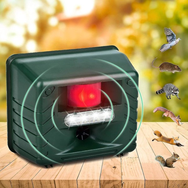 Professionell elektronisk fågelskötare version för duvor, starar, sparvar och måsarBY