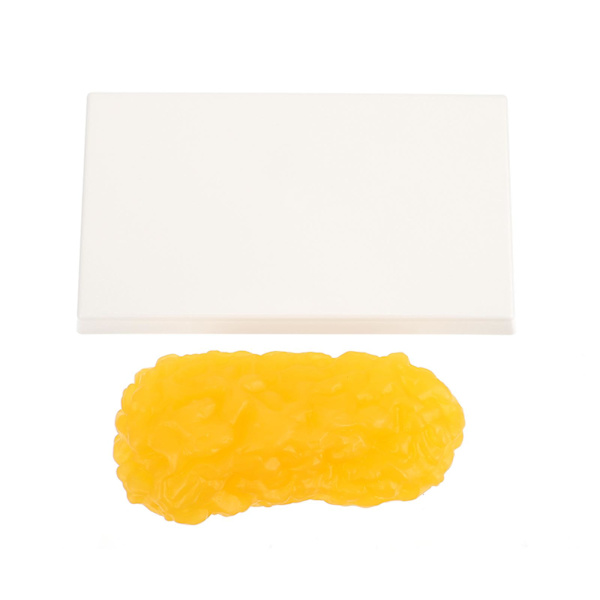Människokropps Fettreplika 1 Pund Fettmodell Anatomisk Fettmodell för att Hålla sig i Form Yellow 24X14CM