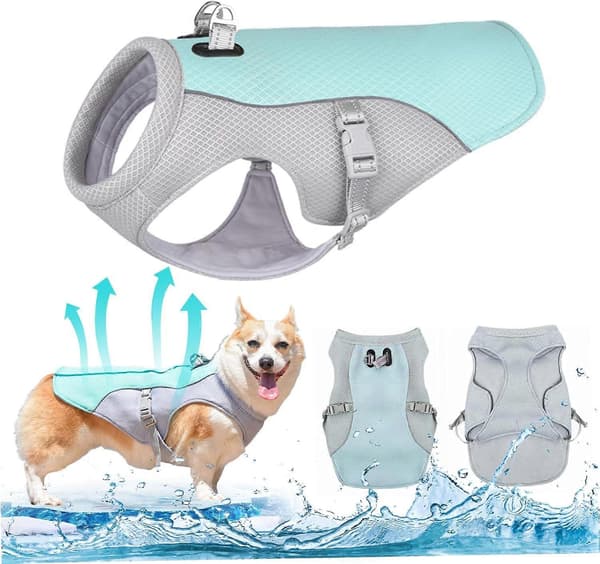 Hund Kylväst Sommar Hund Kyljacka Andningsbart Mesh Justerbar Snabbt Kylande