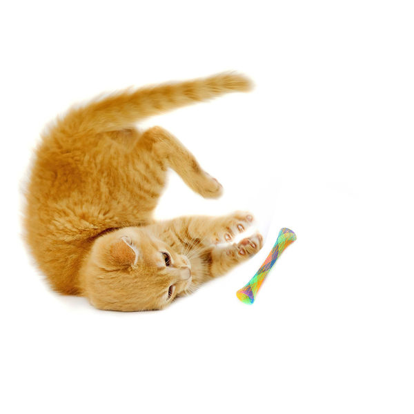 3kpl Joustavia värikkäitä kissanhöyheniä leluja lemmikkeille