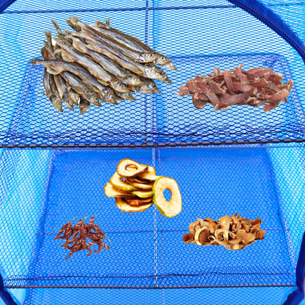 Dry Drying Net Beef Vegetable Food Fruit Fish Meat Dehydrator