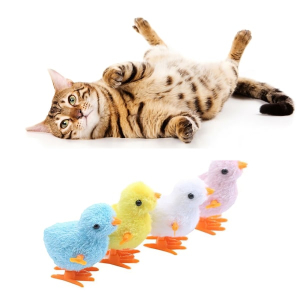 Sjovt kyllinge-kattelegetøj til katte