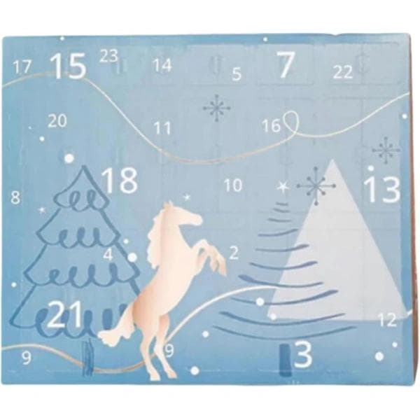 Adventskalender 2025, Adventskalender