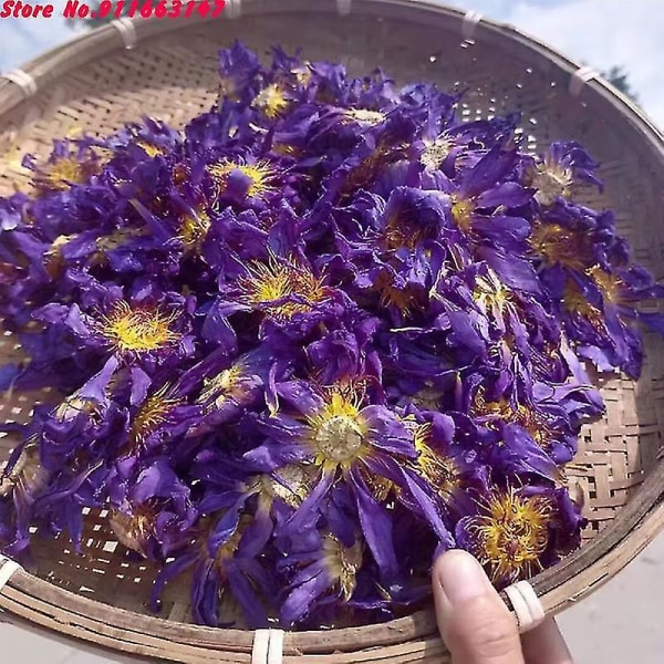 Topp 5a Blå Lotus Torkade Blommor För Påse Kuddfyllning Naturlig Nymphaea Bulk För Ljus Bröllop Rökelse Hem Dofttillverkning 300g Blue Lotus