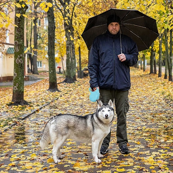 Inntrekkbar hundekobbel, 5 m uttrekkbar hundekobbel med sklisikkert håndtak, flokefri inntrekkbar hundekobbel for små og mellomstore hunder opptil 25 kg (lyseblå)