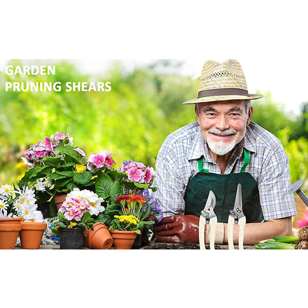 Puutarhan set - 2 pakkaus, 1 oksasakset + 1 suorateräinen sakset, terävät puutarhasakset kukkien leikkaamiseen, kasvien leikkaamiseen Professional Premium