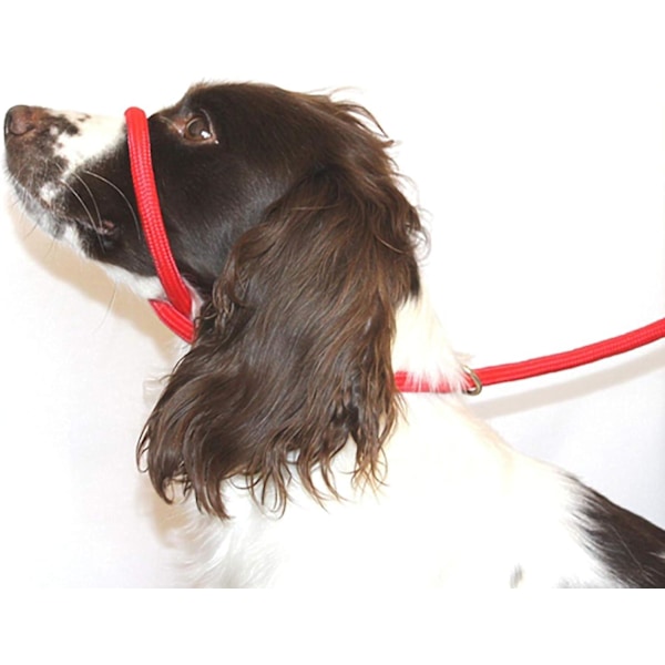 Figur 8 Anti Pull Koppel / Grimma / Huvudlag (RÖD) - One Size Fits All - Super Mjuk Flätad Nylon - Passande Instruktioner Ingår - Bekväm, K