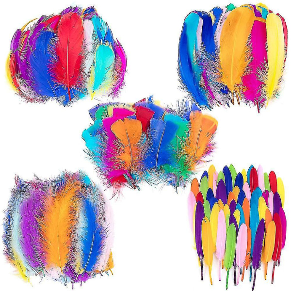 Colorful Feathers,300pcs Feather For Crafts Striking Feathers