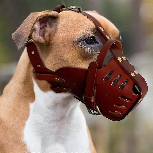 Läder Pitbull Hundmunkorg Doberman Schäfer Säker Korg_Specialgåva Brown