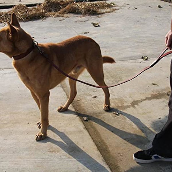 Lærhundetreningsbånd for hunder eller generell lydighet i hagen 6feet*1.0cm black