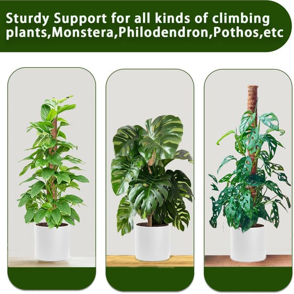 Moss Pole, 2-pack 43 cm Monstera Plant Support for Climbing Plants Accessories Indoors, Stackable Moss Poles Plant Support Stakes, Coir Plant Stick