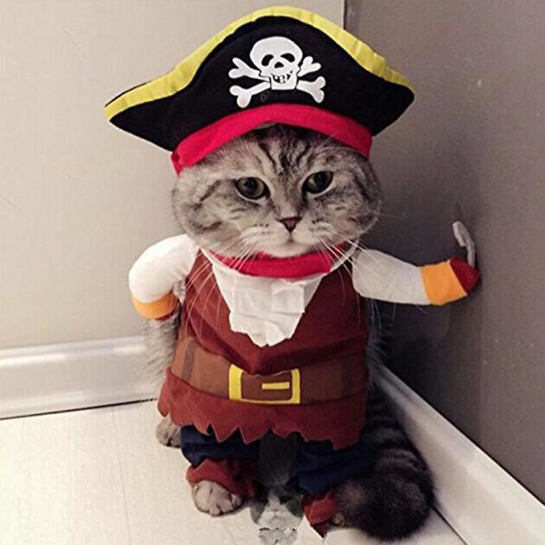 Hund Katt Halloween Julfest Karibien Pirat Kostymer, roliga Husdjur Cosplay Kläder Med Hatt Outfits Set Gåvor L