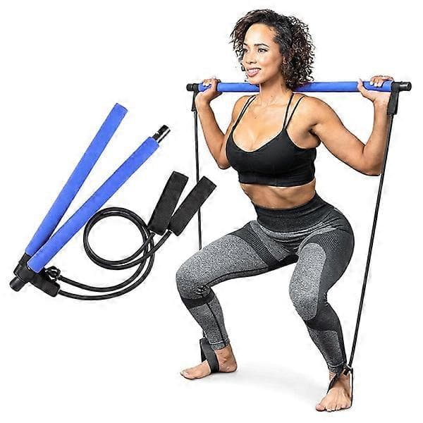 Pilates Bar Set Resistance Bands Adjustable Straps Workout Purple Blue