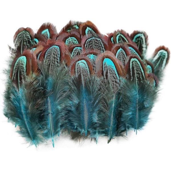 50 stk Naturfasan fjerdragt 2-3 tommer fjerdragt til syning Håndværk Tøj dekorationstilbehør -blå