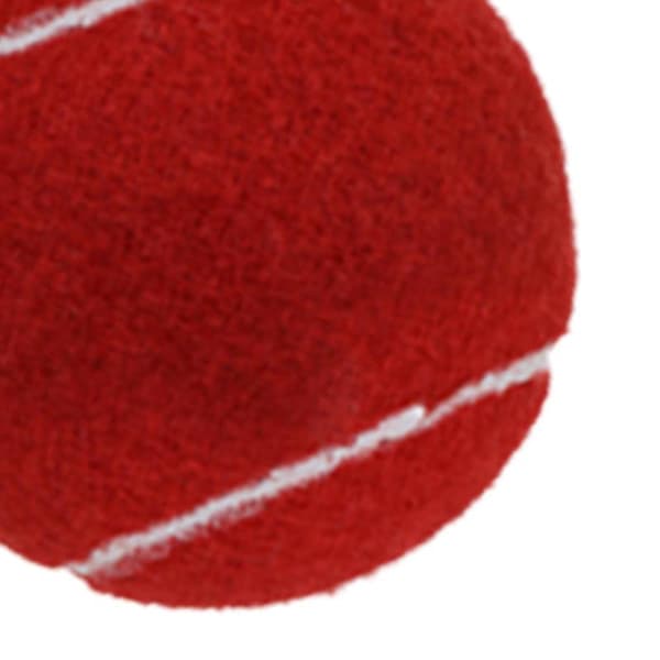 6x Tennis Balls for Beginner Training Durable Practice Balls 2.52\" Dia Red