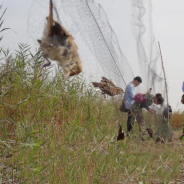 Bird Catcher Net Pond Net Fishing Net Crops Fruit Tree Vegetables Flower