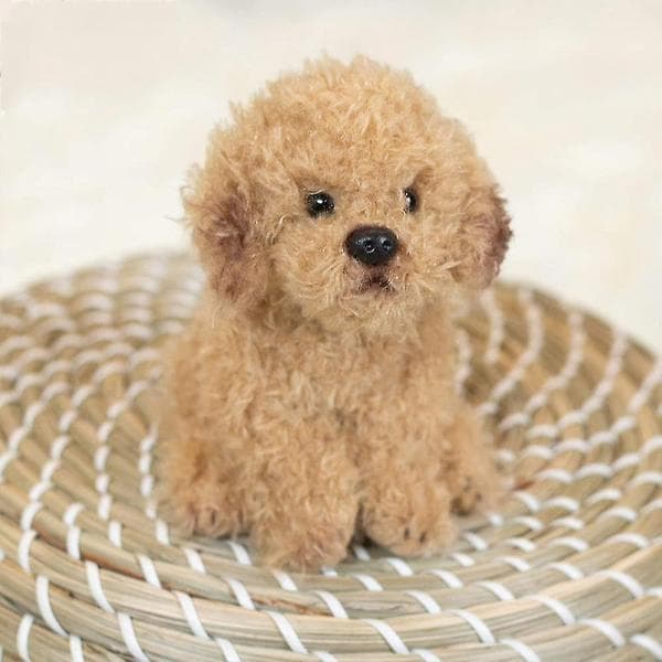 Labradoodle pieni pehmolelu, koiran pehmolelu, 19,8 cm