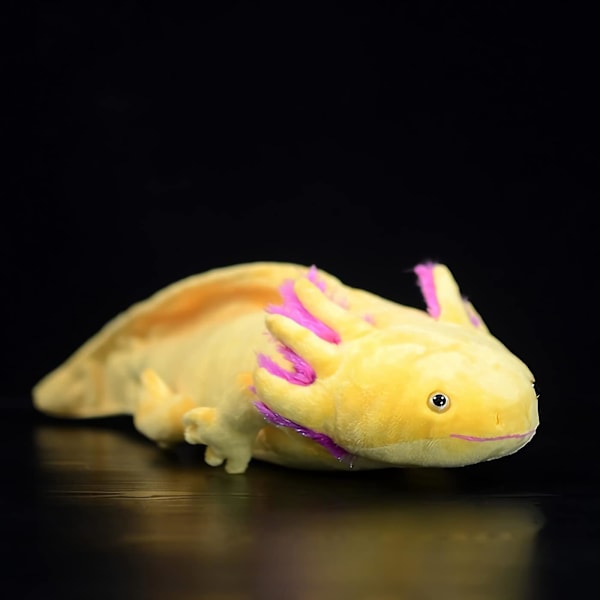 19,6 tum simulerad axolotl plyschleksak kawaii mjuk stoppad djur axolotl plyschkudde docka (gul )