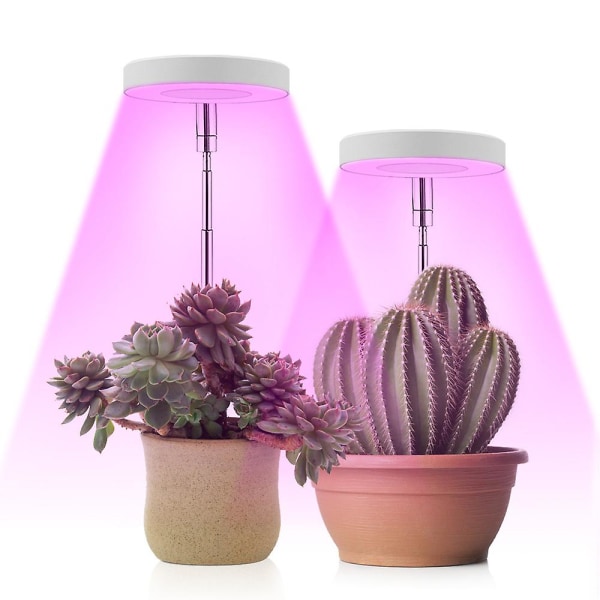Led plantevækstlampe fuldt spektrum indendørs engelring plantelampe Hjemme Sukkulent Blomsterplantelampe 5v