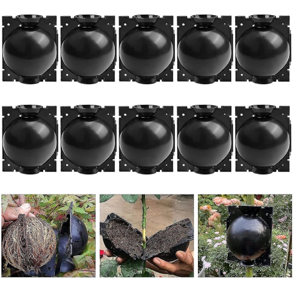 10 Pack Plant Rooting Deviceplant Root Growing Box For Plant Propagation Reasable Propagation Rooting Ball