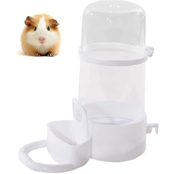 Hamster Foderautomat Hamster Mad Springvand Hamster Flaske Hamster Mad Bassin Pindsvin