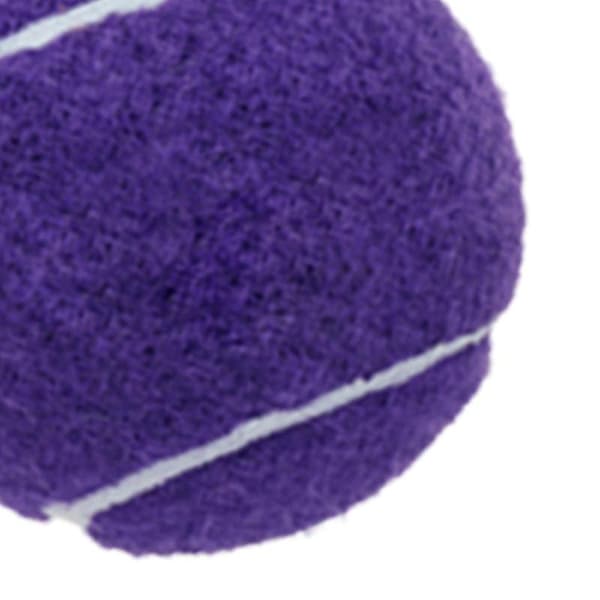6x Tennis Balls for Beginner Training Durable Practice Balls 2.52\" Dia Purple
