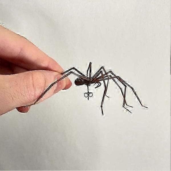 Jättespindel Örhängen Herrörhängen