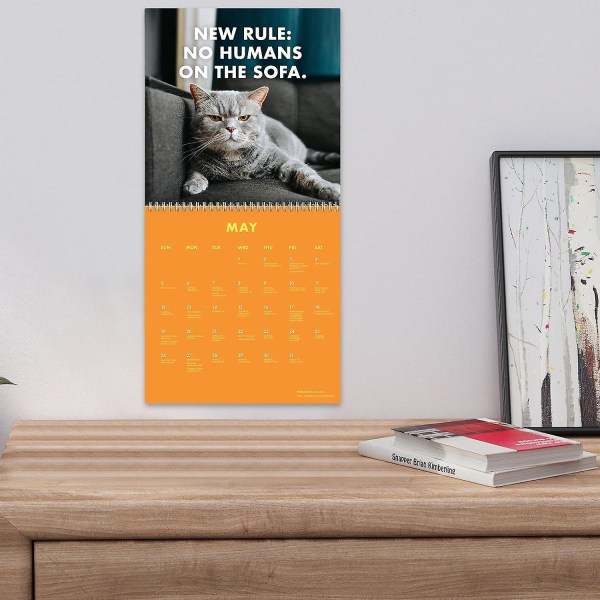 2024 Pissed-off Cats Kalender, Rolig Katt Väggkalender, 12 Månaders Kattkalender, Rolig Sassy Semestergåva För Kattälskare 1Pcs
