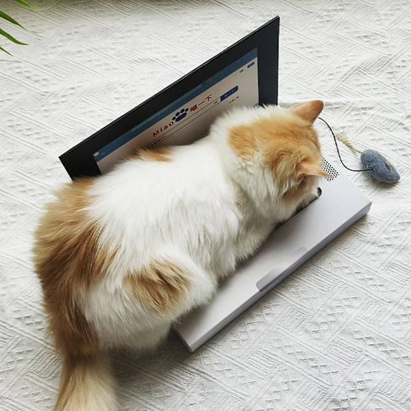 Bärbar repig leksak för katt med plyschmöss, kattunge bärbar leksak tass över sociala medier för alla åldrar katter