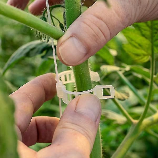 200 stk. Haveklemmer til planter - Ideelle til at fastgøre blomsterplanter til planter, hvide