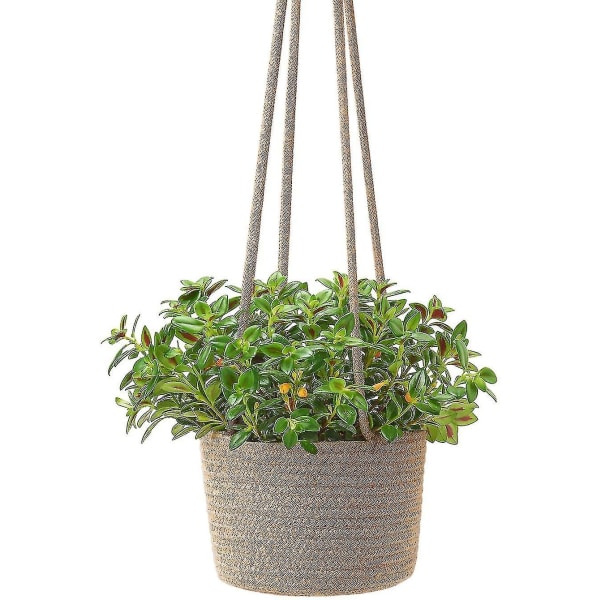 Hängande planter vävd växtkorg inomhus upp till 7\" kruka Macrame växt hängare