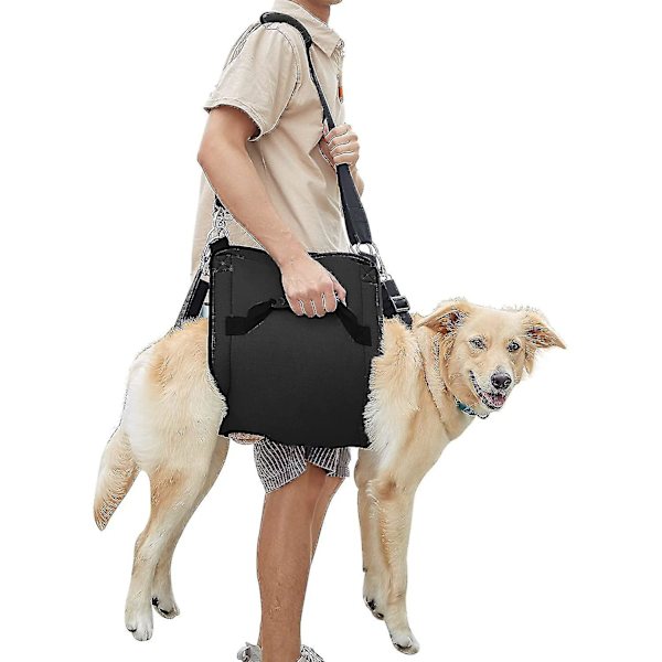 Hundbärsele, akut ryggsäck för husdjursben, stöd och rehabilitering för hund (svart), lyftsele för klotrimmning, hundtransportör XL