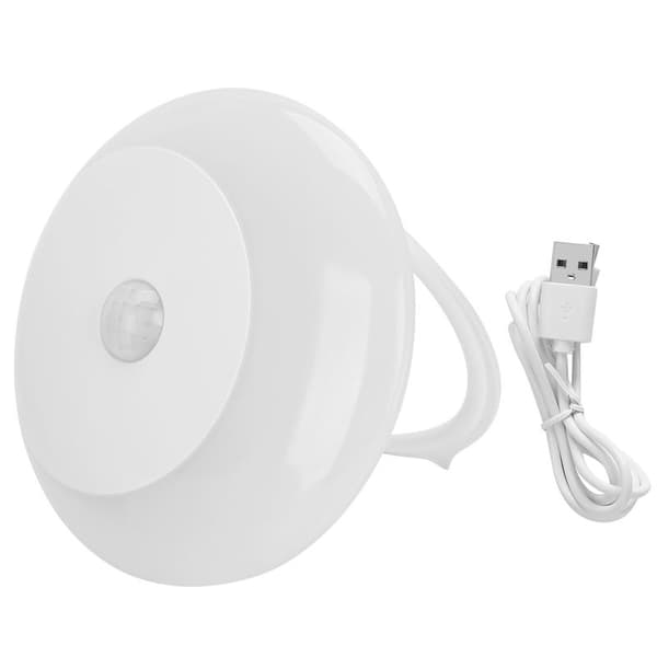 LED Night Light Mini Hanging Motion Sensor Induction Lamp for Bedroom Passage Bathroom