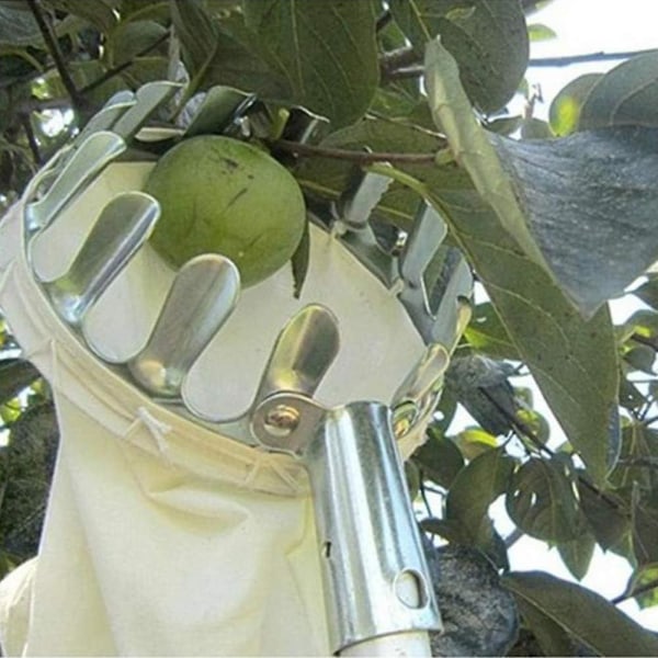 Fruktplockare Combisystem Fruktplockare utan metall teleskopskaft Äppelplockare Fruktplockare Fruktplockare med skyddskåpa 160 Mm