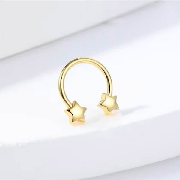 Rustfrit stål ringe til septum, næse, hjerte, stjerne, stud, øreringe, loop piercinger WHBYV Heart Silver
