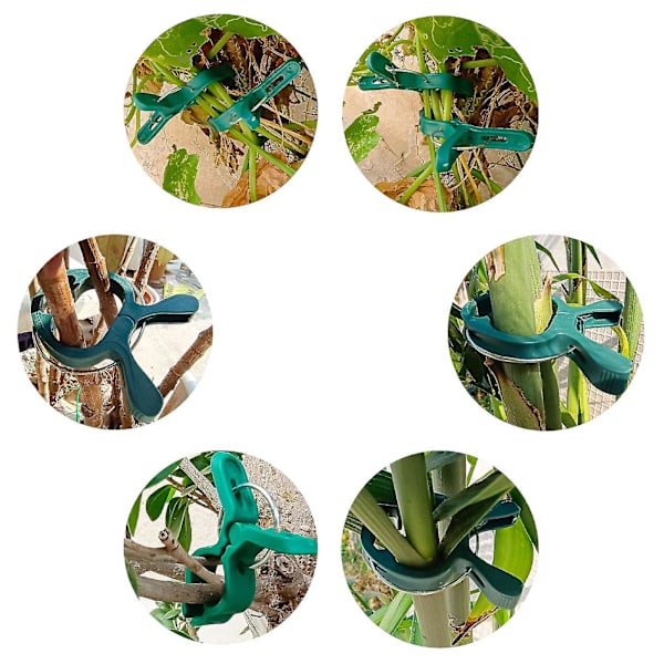 100-pack växtstöd clips för tomater, gurkor och vinväxter - Hållbara, vattentäta och justerbara - Perfekt för trädgårdsskötsel-hao Green 5cm