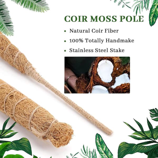 4-pack Trädgårdspinnar för Monstera deliciosa, Växtstöd, Böjbara Formbara Mossapinnar, Pothos och Klätterväxter