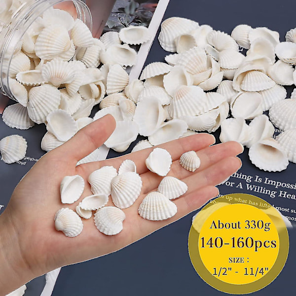 Små snäckskal för dekoration, 330g 140~160 st Bulk Tiny Seashells för hantverk 1/2\" - 1 1/4\", naturliga kammussleskal för hantverk, heminredning vas Fi