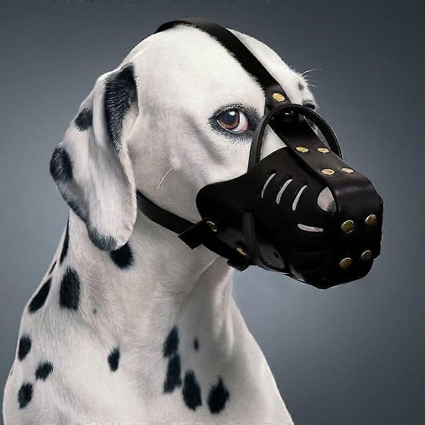 Läder Pitbull Hundmunkorg Doberman Schäfer Säker Korg_Specialgåva Black