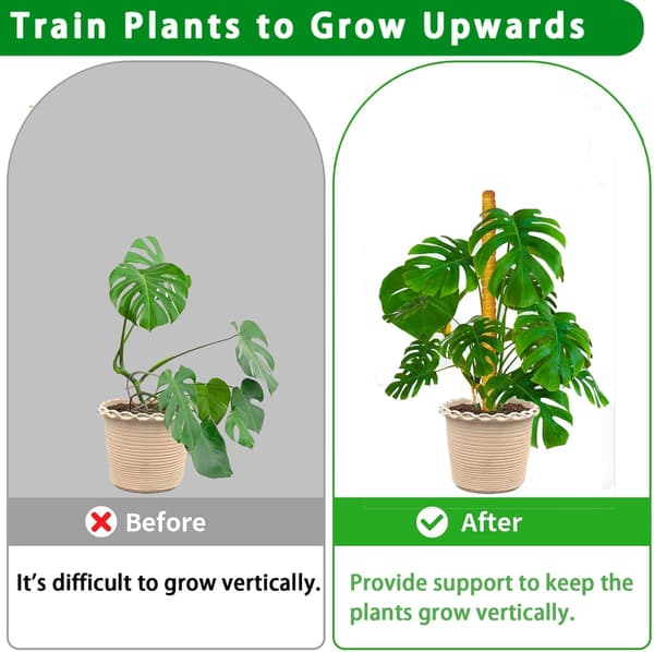 Moss Pole, 2-pack 43 cm Monstera Plant Support for Climbing Plants Accessories Indoors, Stackable Moss Poles Plant Support Stakes, Coir Plant Stick