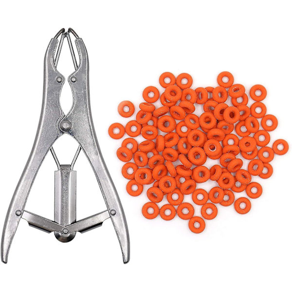 Rustfritt stål kastrerings tang - For storfe, gris, sau, med 100 gummiring
