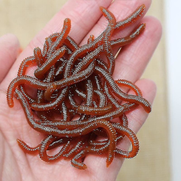 100 Förpackningar med 8cm 0,4g Röda Maskar Jordmaskar Falska Beten, Fisksmak Mjuka Beten, Maggot-hy