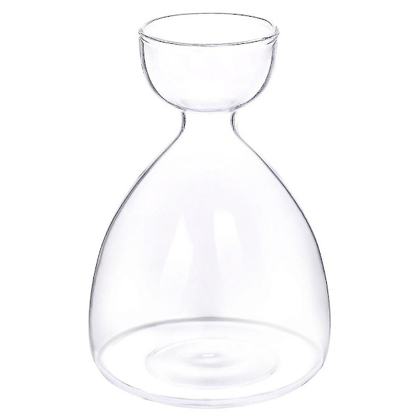 1 st transparent avokado frö startvas för odling av frö odlingskit avokado växt glasvas present till trädgårdsälskare